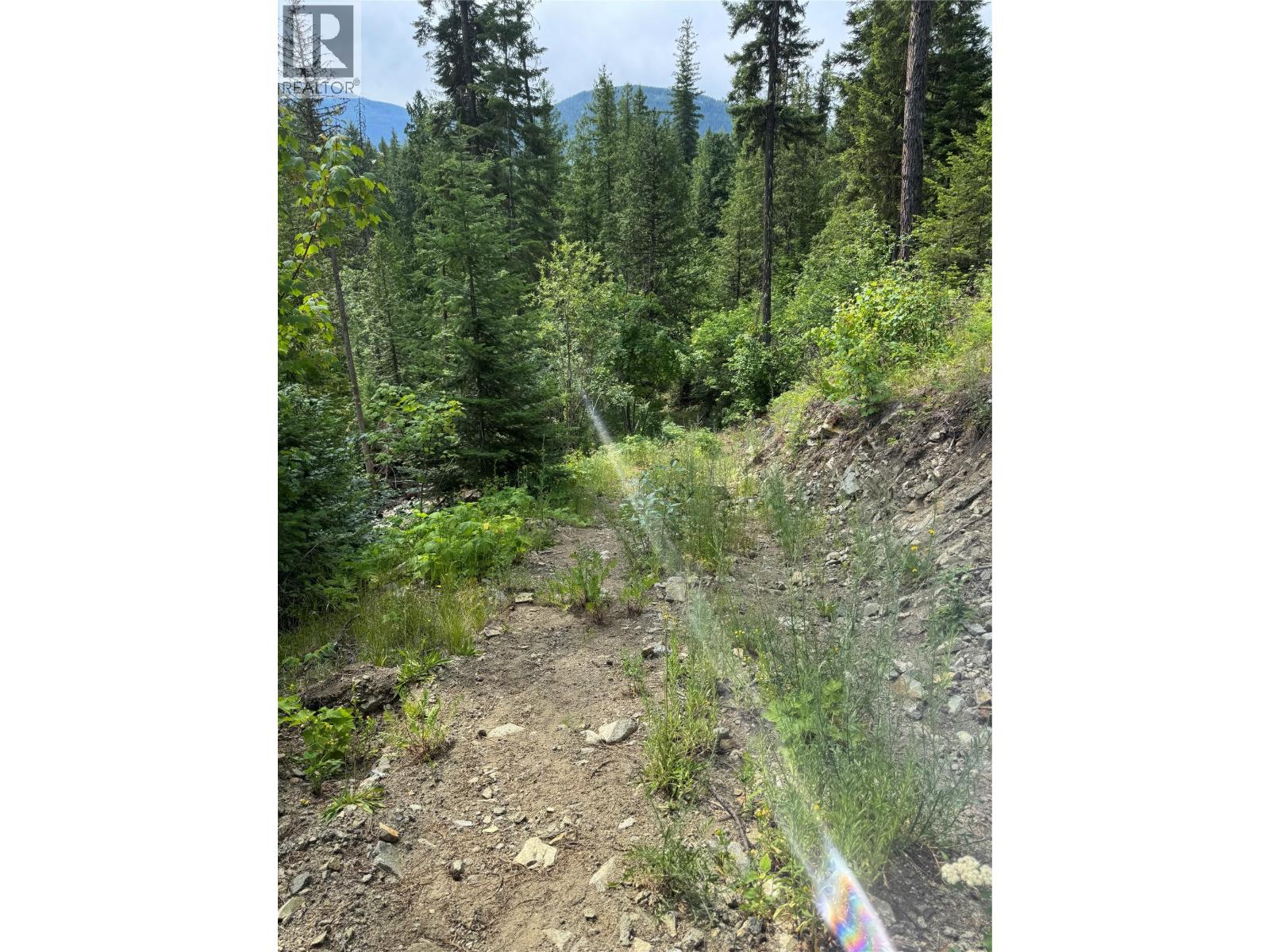 4018 Fumot Place, Bonnington, British Columbia  V0G 2G3 - Photo 11 - 10376512