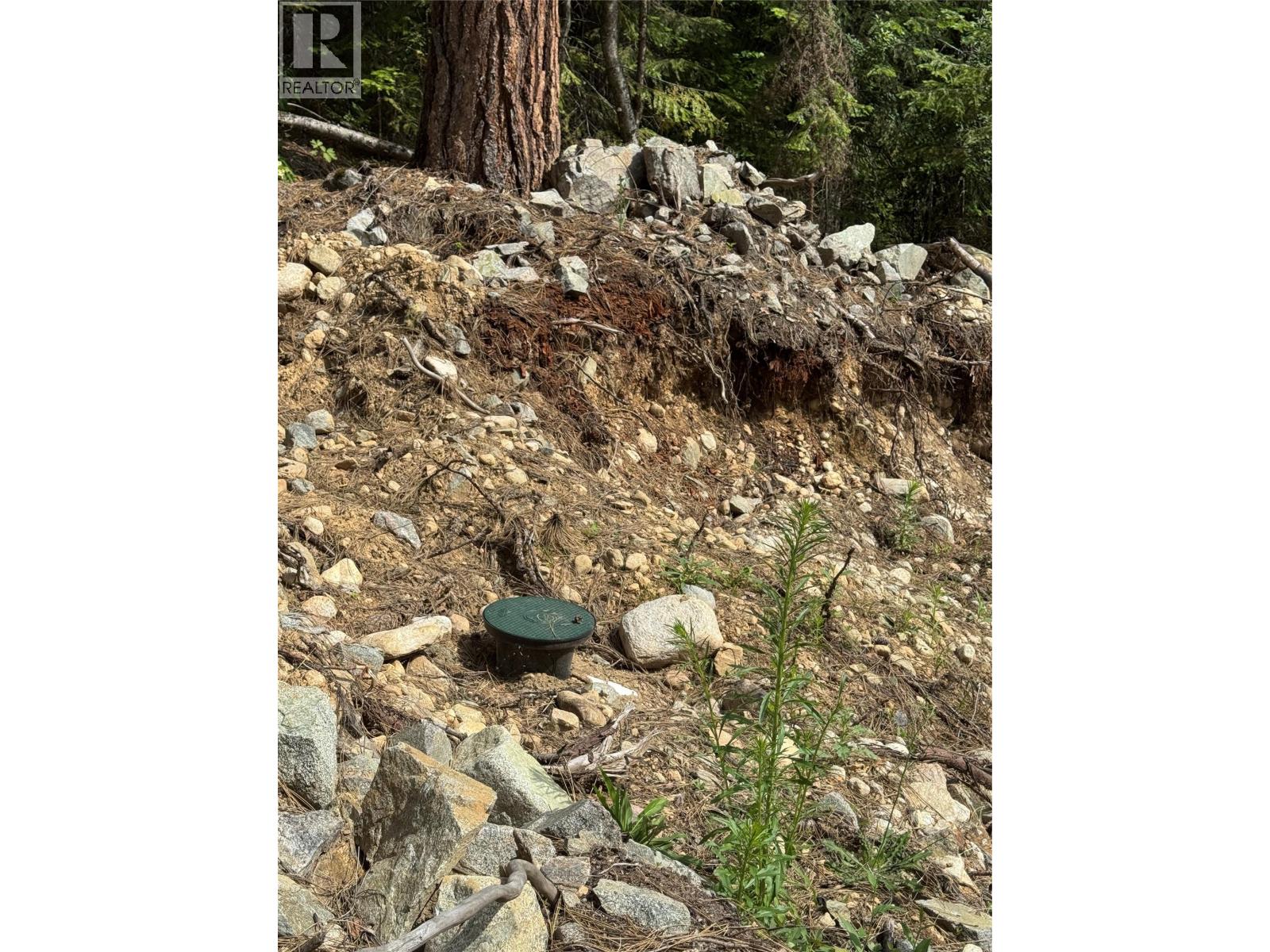 4018 Fumot Place, Bonnington, British Columbia  V0G 2G3 - Photo 12 - 10376512