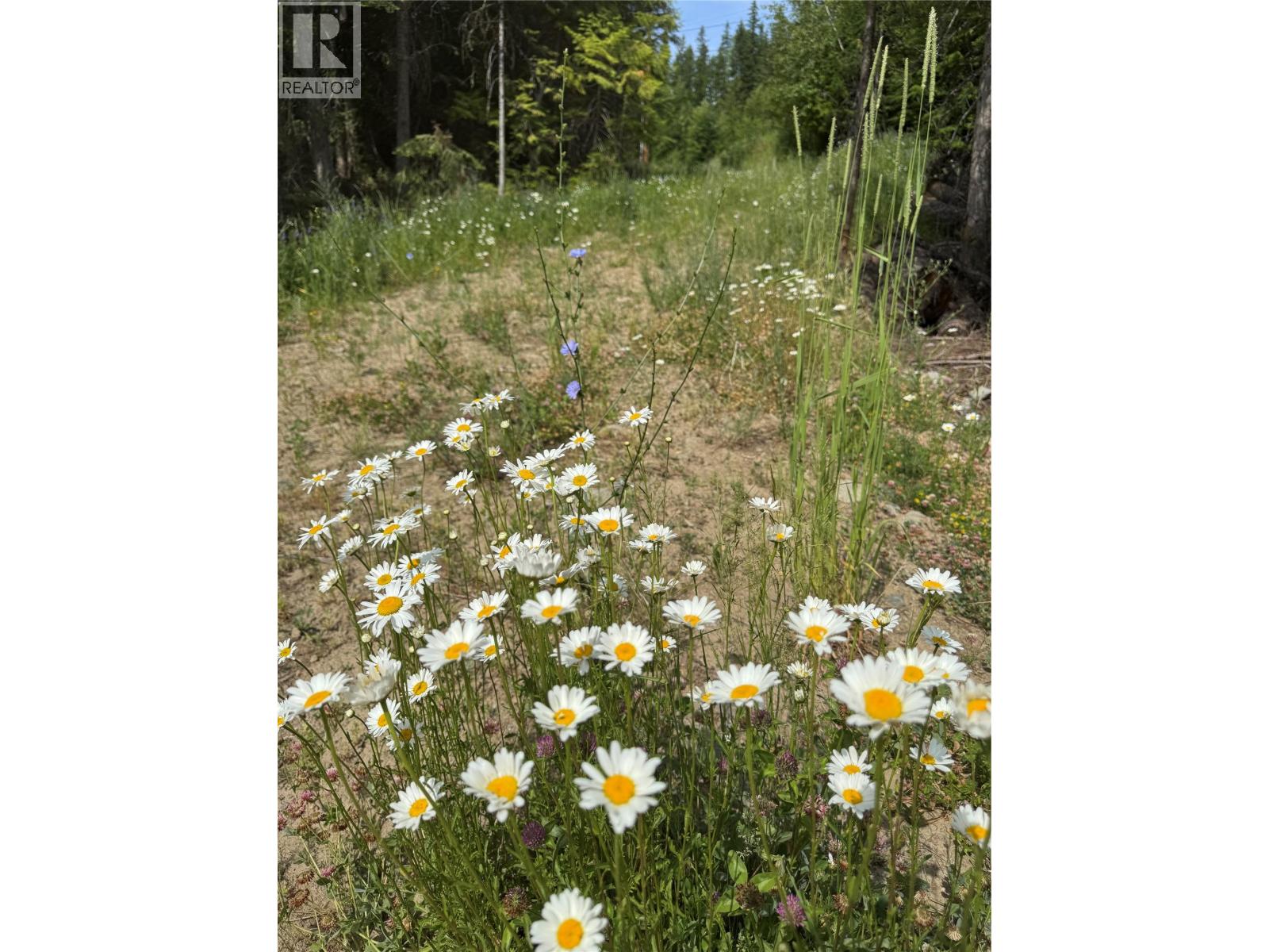 4018 Fumot Place, Bonnington, British Columbia  V0G 2G3 - Photo 15 - 10376512