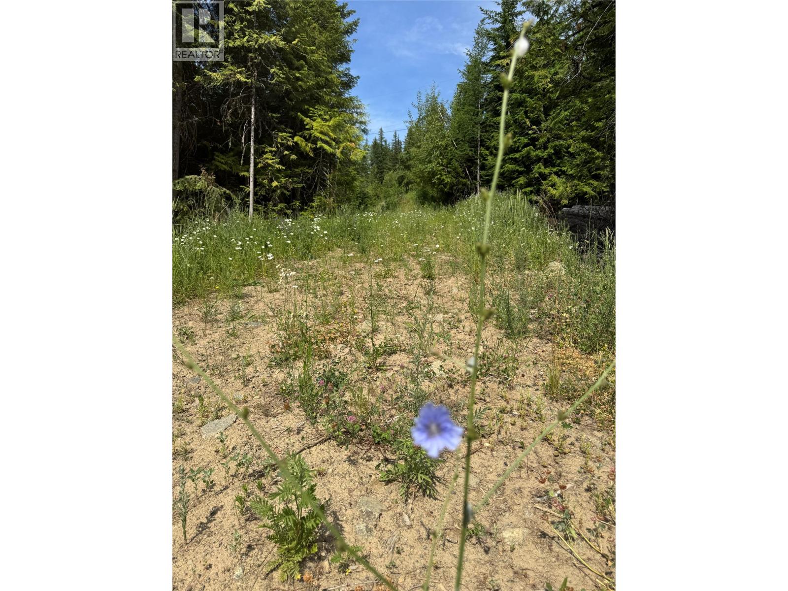 4018 Fumot Place, Bonnington, British Columbia  V0G 2G3 - Photo 16 - 10376512