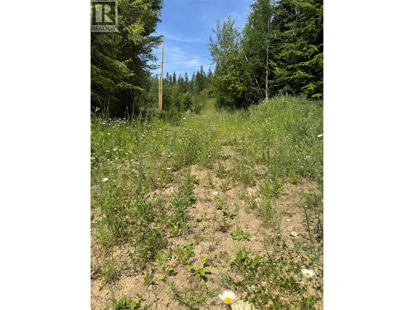 4018 Fumot Place, Bonnington, British Columbia  V0G 2G3 - Photo 17 - 10376512