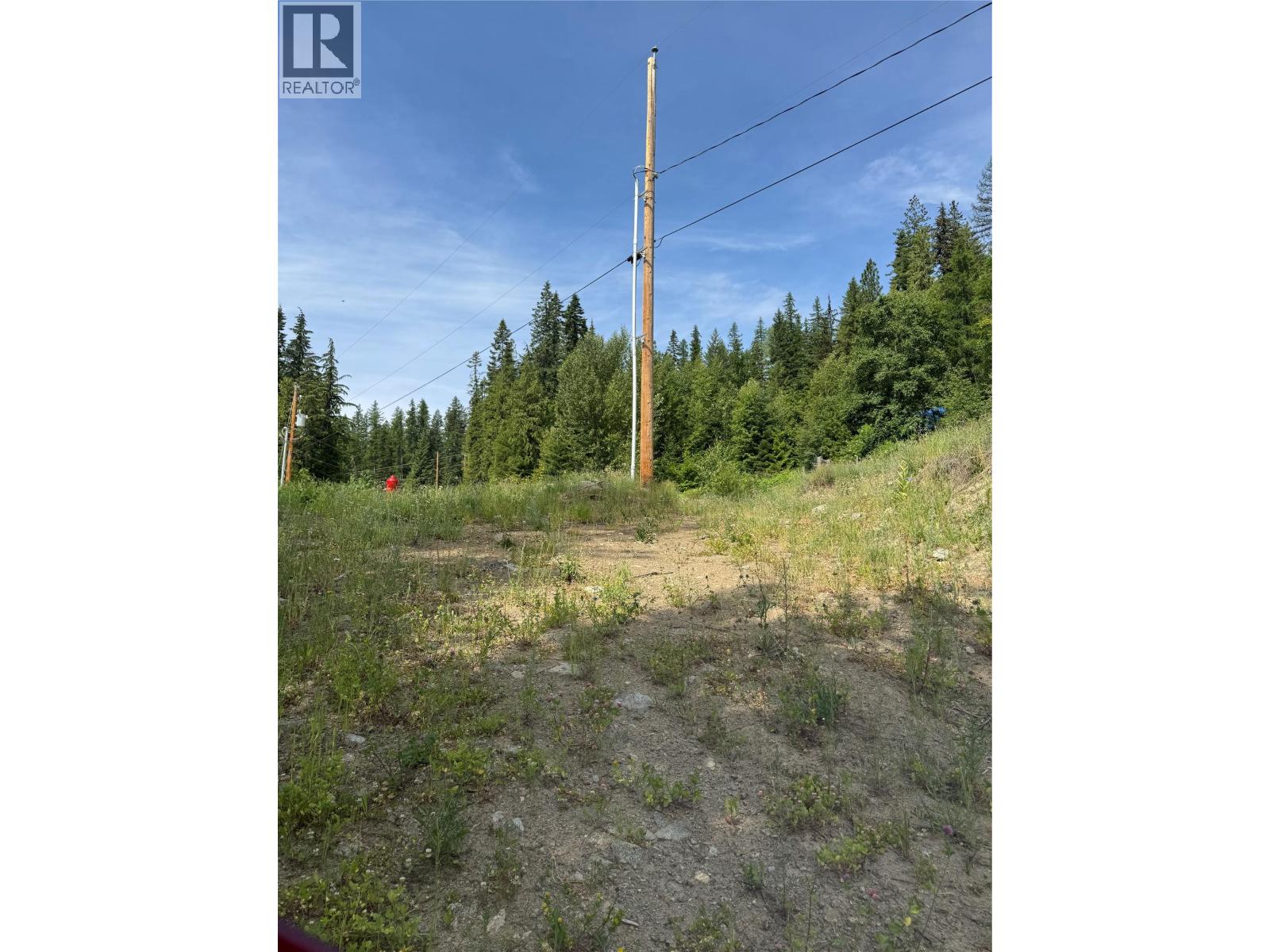 4018 Fumot Place, Bonnington, British Columbia  V0G 2G3 - Photo 18 - 10376512