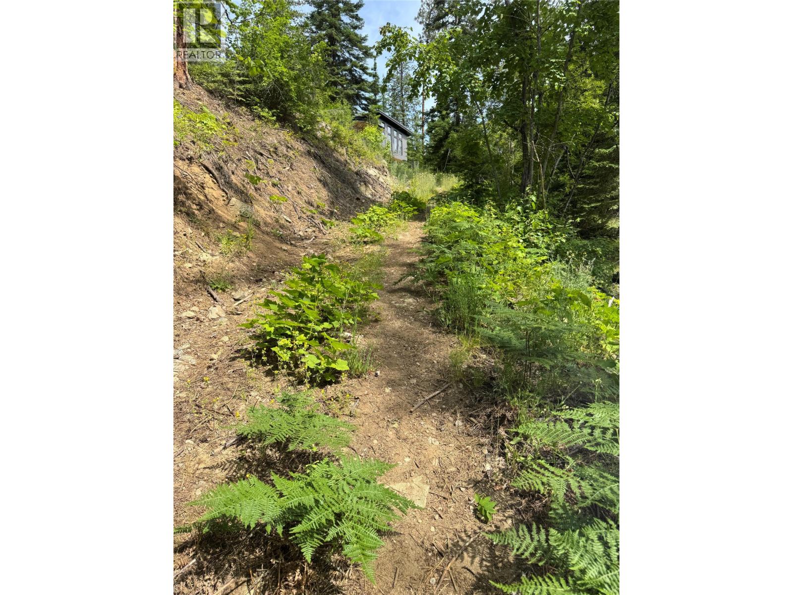 4018 Fumot Place, Bonnington, British Columbia  V0G 2G3 - Photo 3 - 10376512