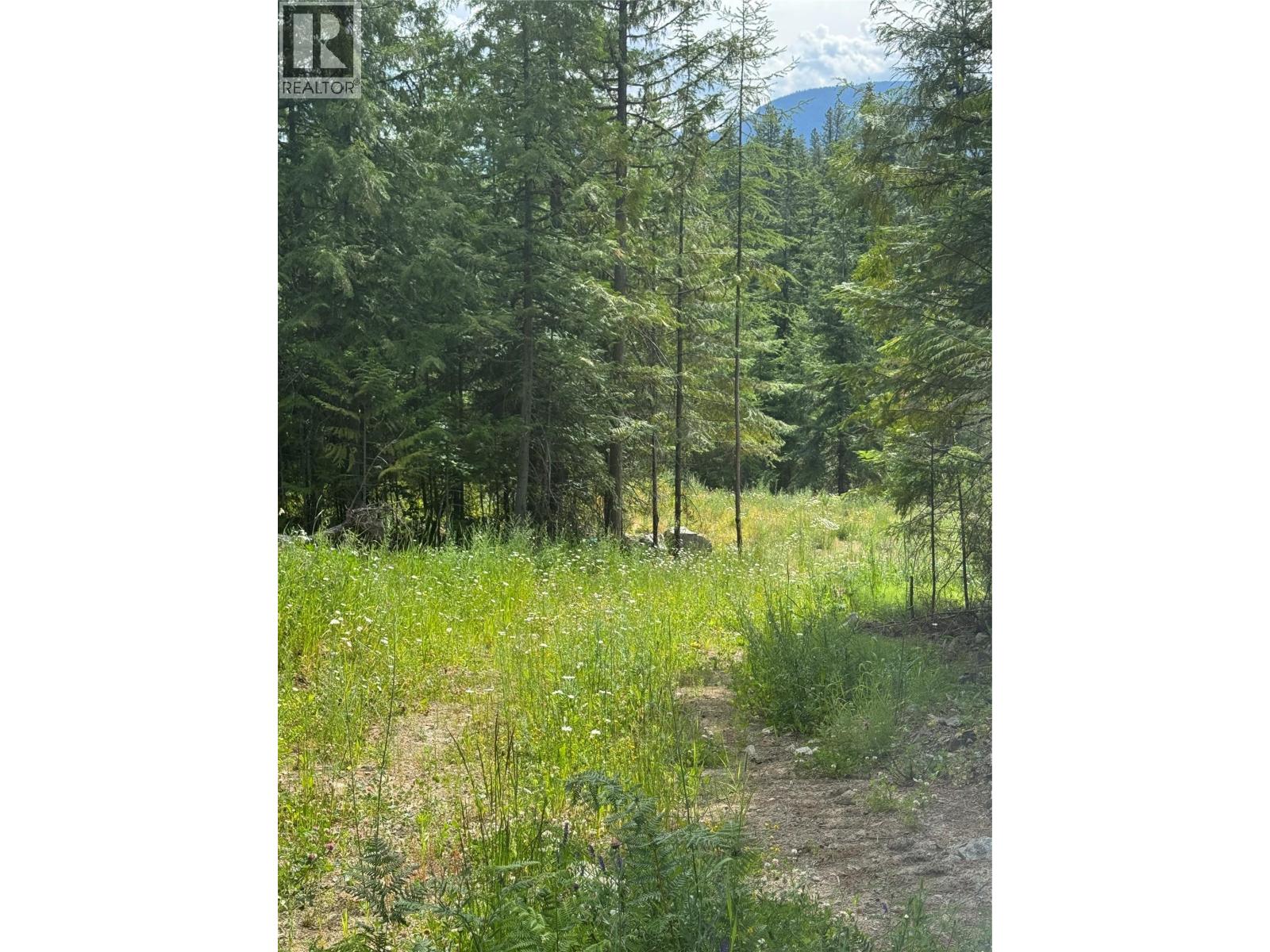 4018 Fumot Place, Bonnington, British Columbia  V0G 2G3 - Photo 4 - 10376512