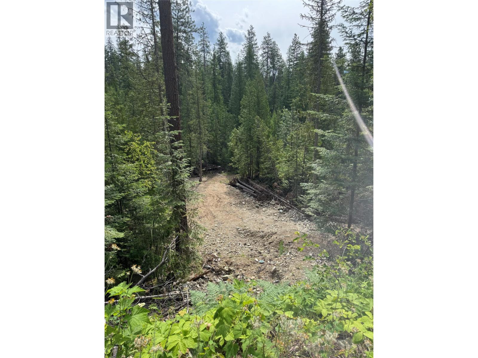 4018 Fumot Place, Bonnington, British Columbia  V0G 2G3 - Photo 5 - 10376512