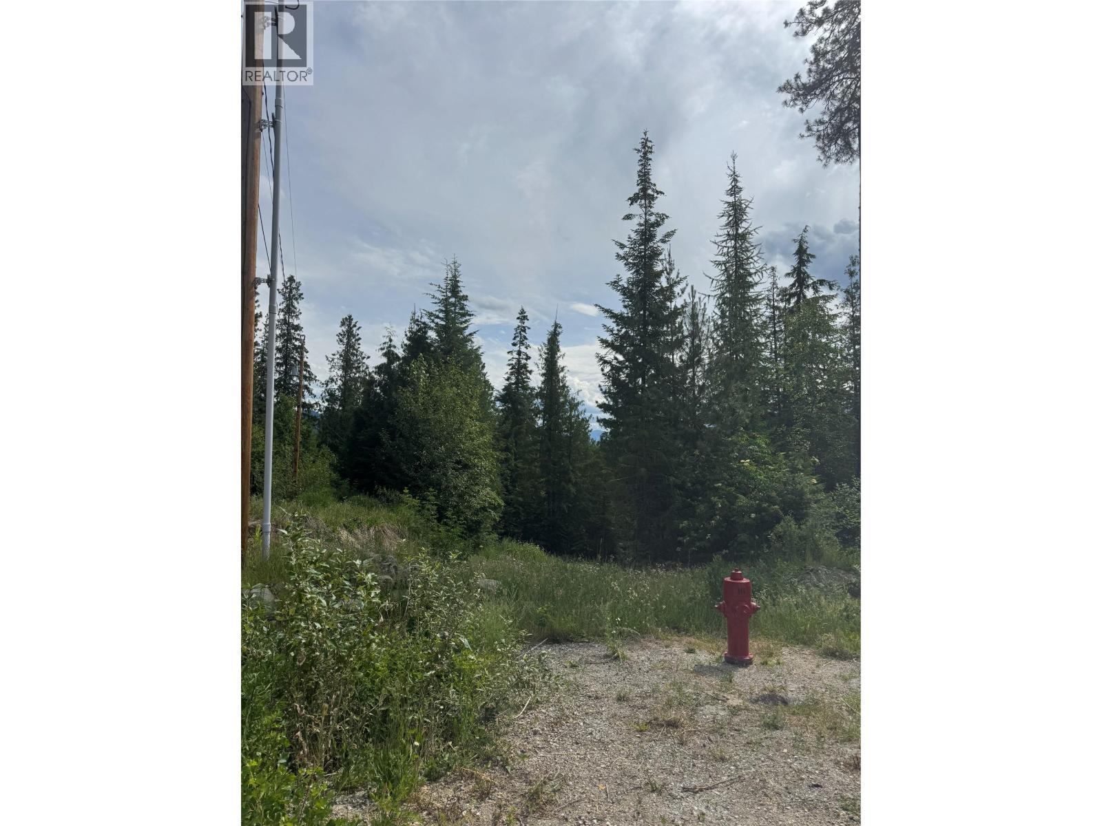 4018 Fumot Place, Bonnington, British Columbia  V0G 2G3 - Photo 6 - 10376512