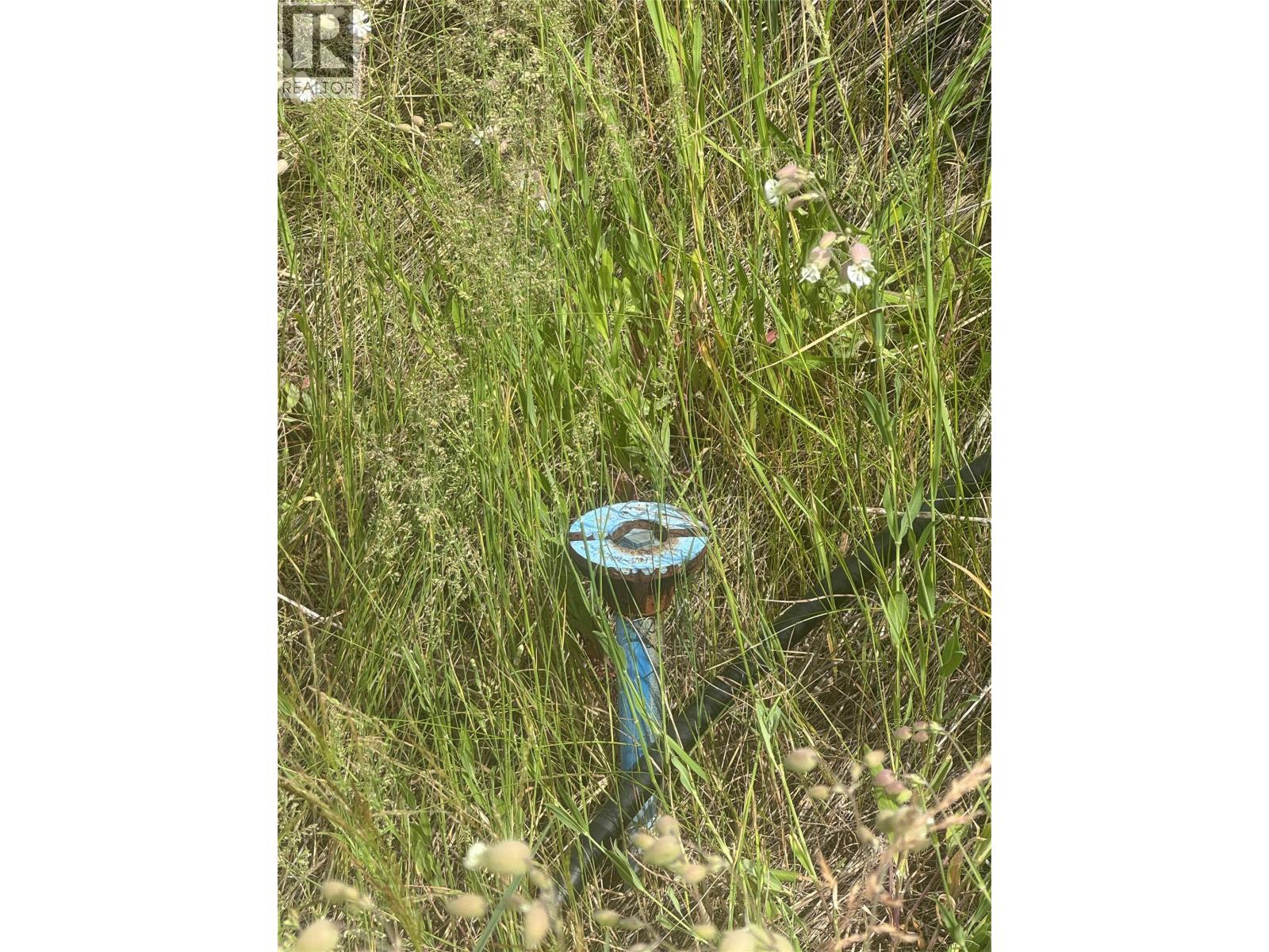 4018 Fumot Place, Bonnington, British Columbia  V0G 2G3 - Photo 7 - 10376512