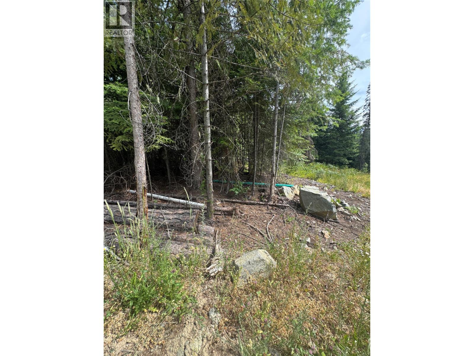 4018 Fumot Place, Bonnington, British Columbia  V0G 2G3 - Photo 9 - 10376512