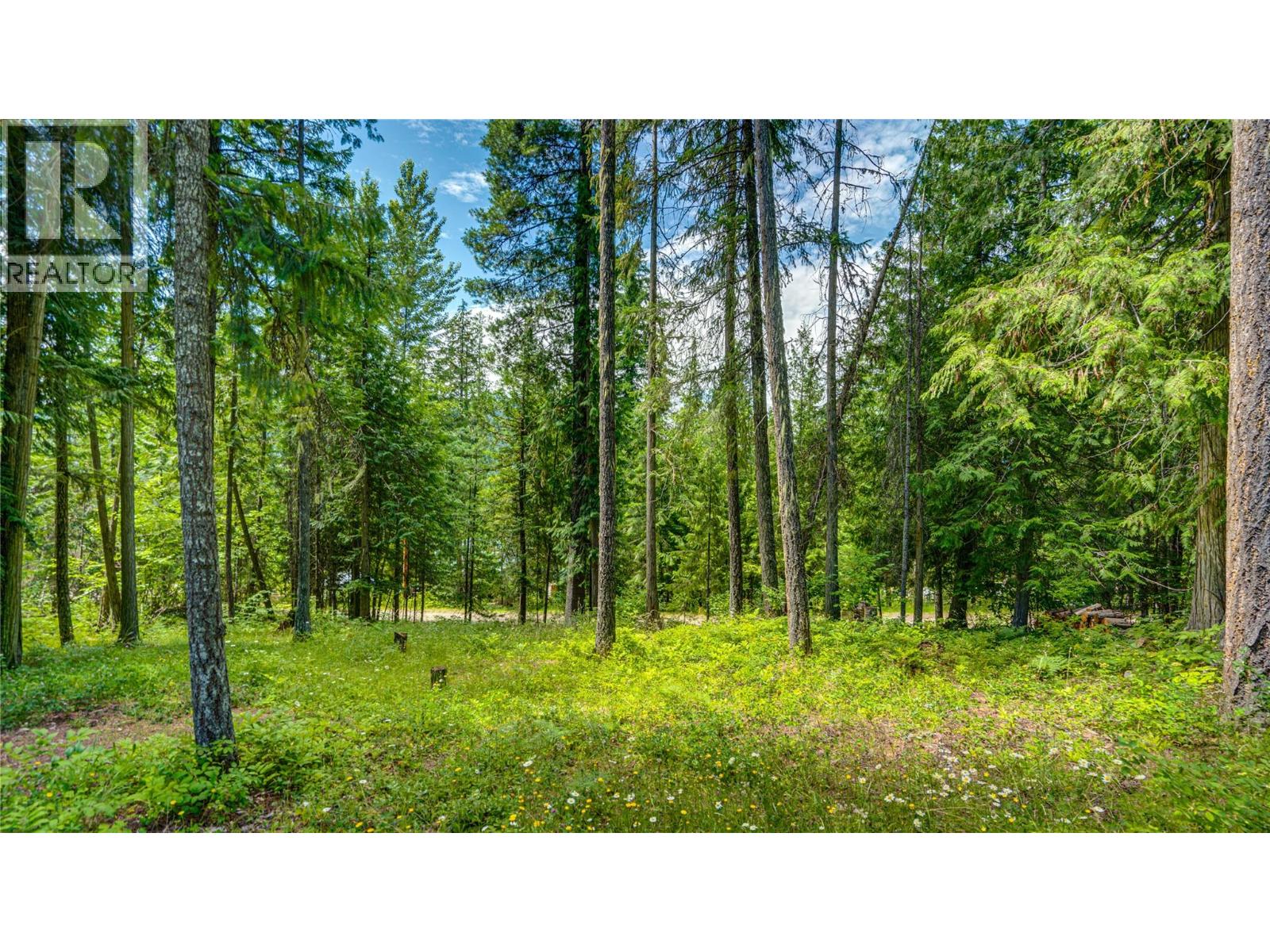 58 Walker Road, Enderby, British Columbia  V0E 1V5 - Photo 39 - 10377999