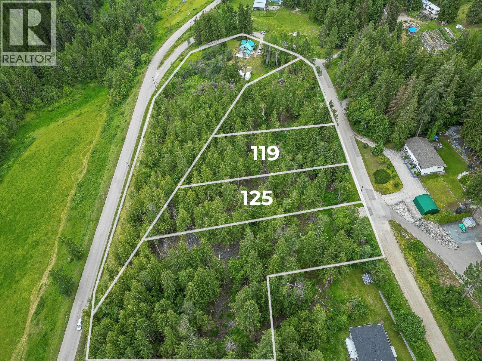 119 Timberlane Road, Enderby, British Columbia  V0E 1V1 - Photo 1 - 10378212