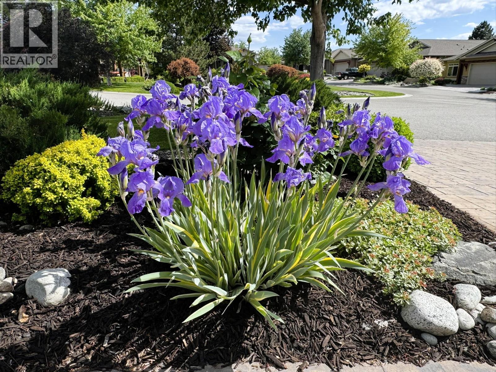 6833 Meadows Drive Unit# 2, Oliver, British Columbia  V0H 1T4 - Photo 61 - 10378368