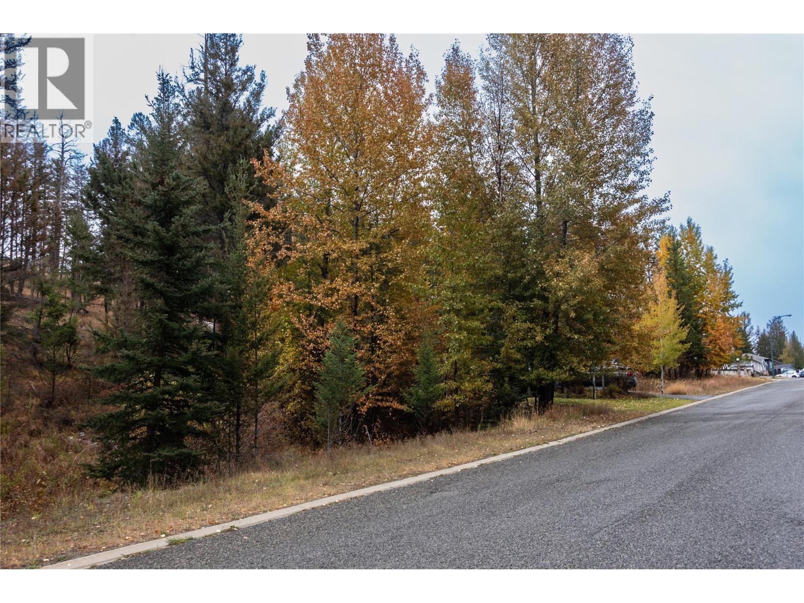 339 Poplar Drive, Logan Lake, British Columbia  V0K 1W0 - Photo 5 - 10378429