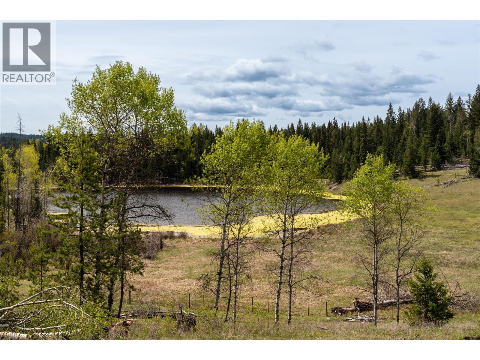 331 Poplar Drive, Logan Lake, British Columbia  V0K 1W0 - Photo 18 - 10378421