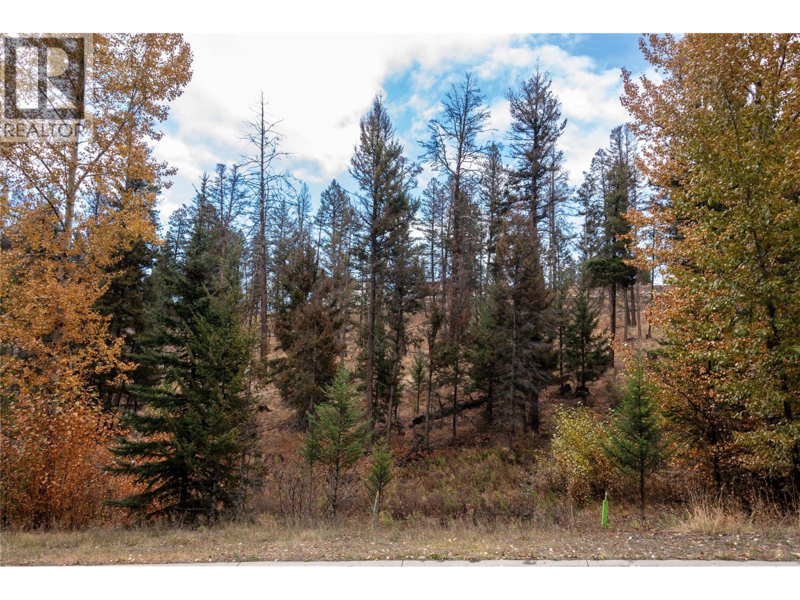 331 Poplar Drive, Logan Lake, British Columbia  V0K 1W0 - Photo 6 - 10378421