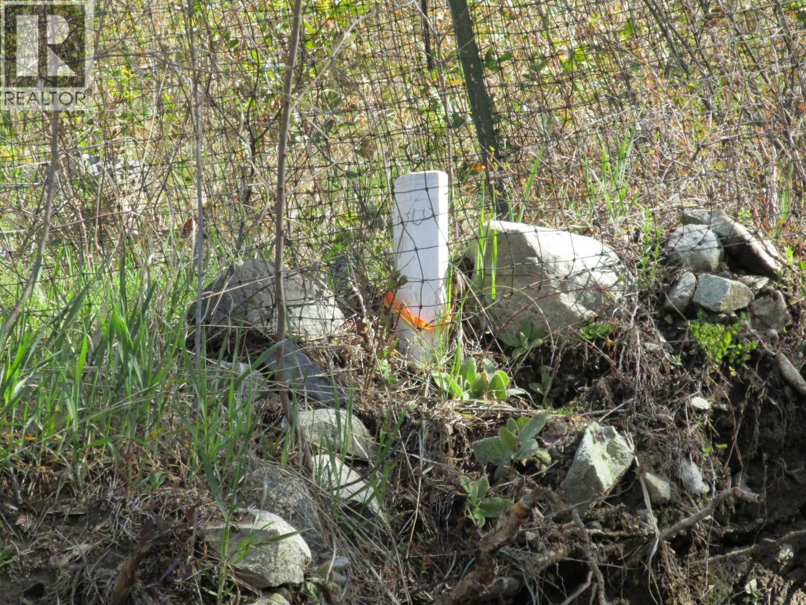 Kimberley Avenue S Lot# Lot3 Blk 2, Greenwood, British Columbia  V0H 1J0 - Photo 9 - 10378332