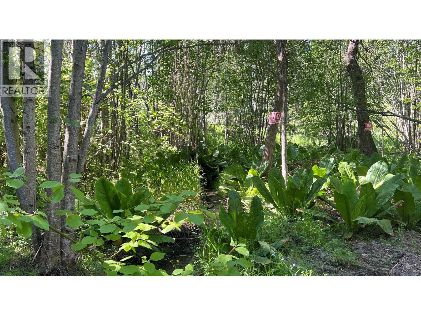 617 Payne Street, Creston, British Columbia  V0B 1G6 - Photo 42 - 10378335