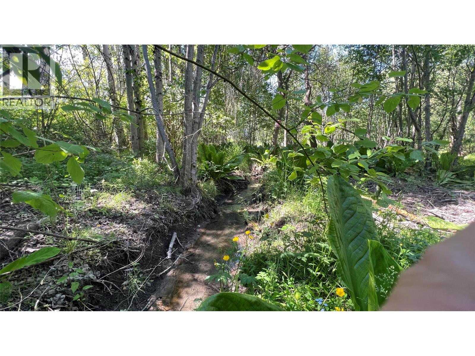 617 Payne Street, Creston, British Columbia  V0B 1G6 - Photo 43 - 10378335