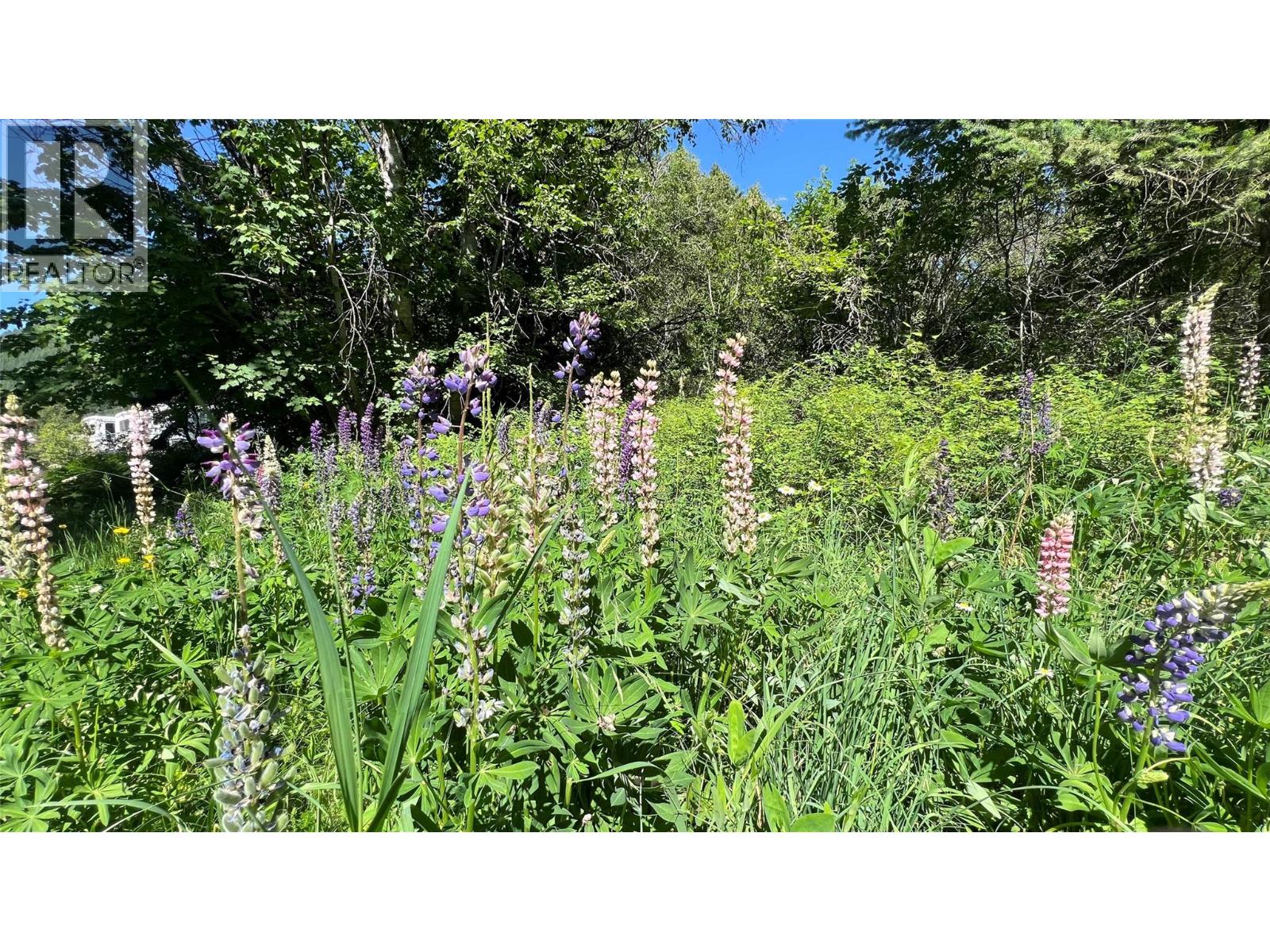 617 Payne Street, Creston, British Columbia  V0B 1G6 - Photo 45 - 10378335