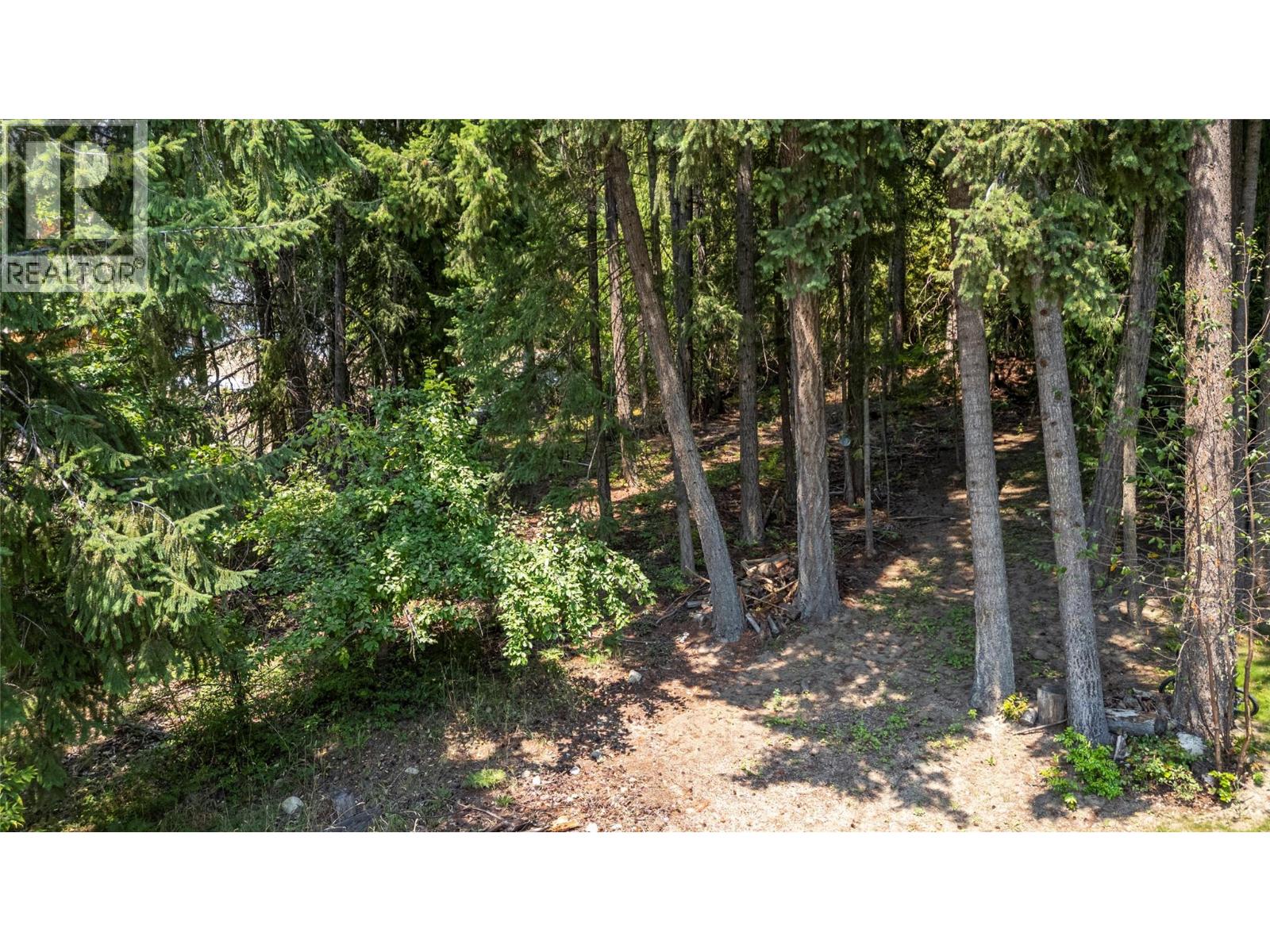 Columbia Drive Lot# 138, Anglemont, British Columbia  V0E 1M8 - Photo 12 - 10378444