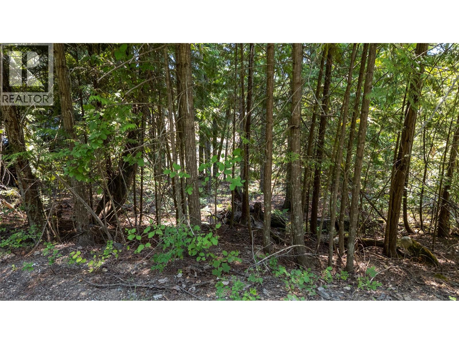 Columbia Drive Lot# 138, Anglemont, British Columbia  V0E 1M8 - Photo 13 - 10378444