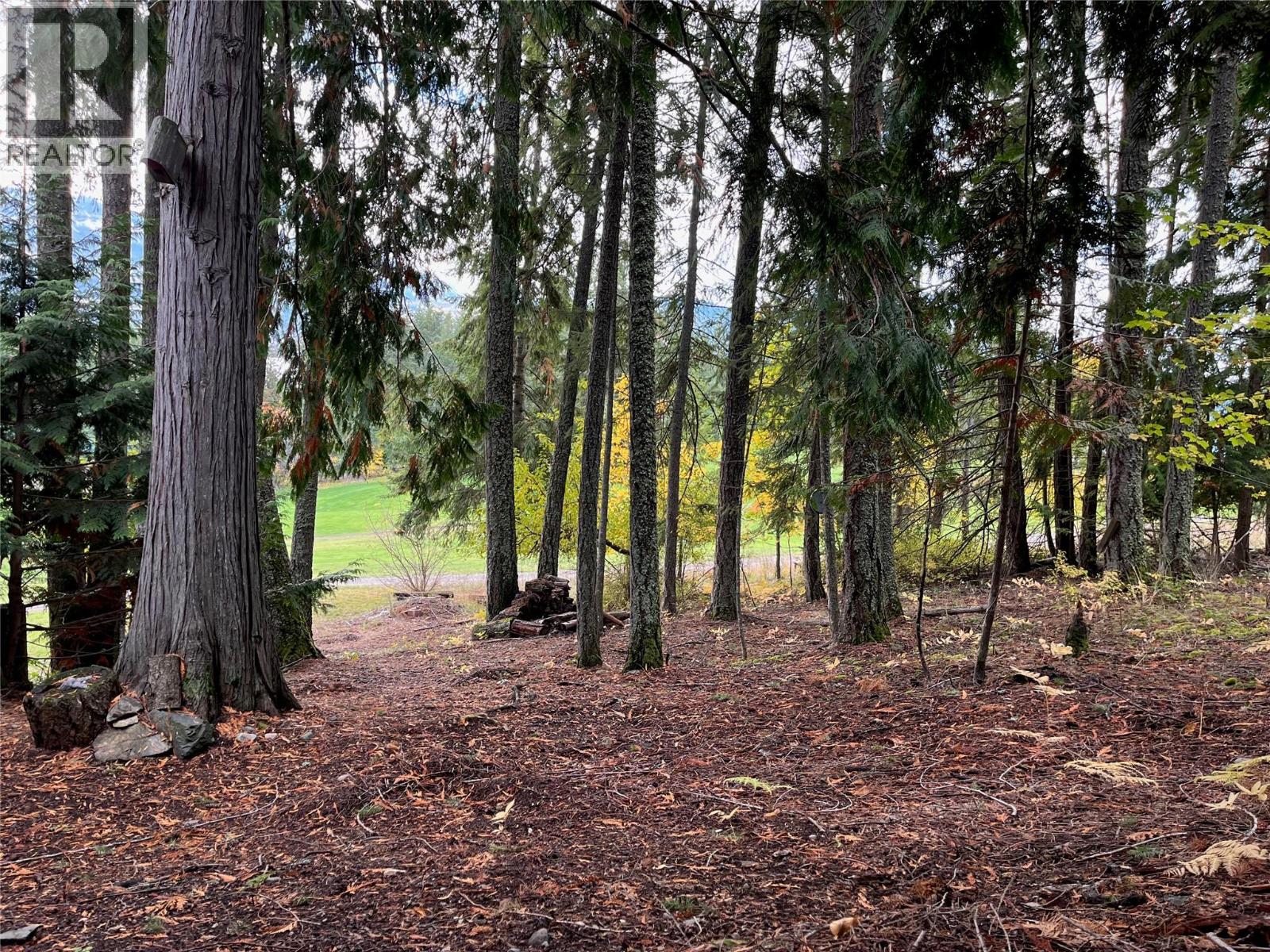 Columbia Drive Lot# 138, Anglemont, British Columbia  V0E 1M8 - Photo 5 - 10378444