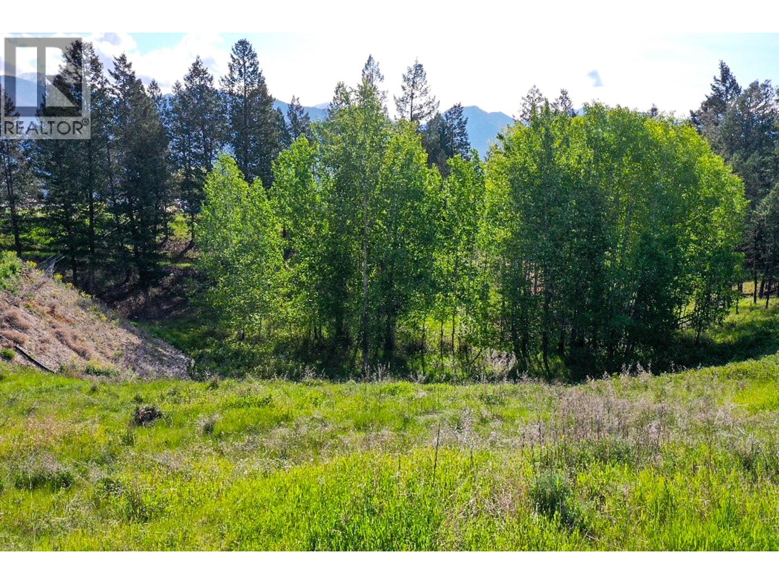 2161 Pinetree Place, Invermere, British Columbia  V0A 1K4 - Photo 1 - 10378481