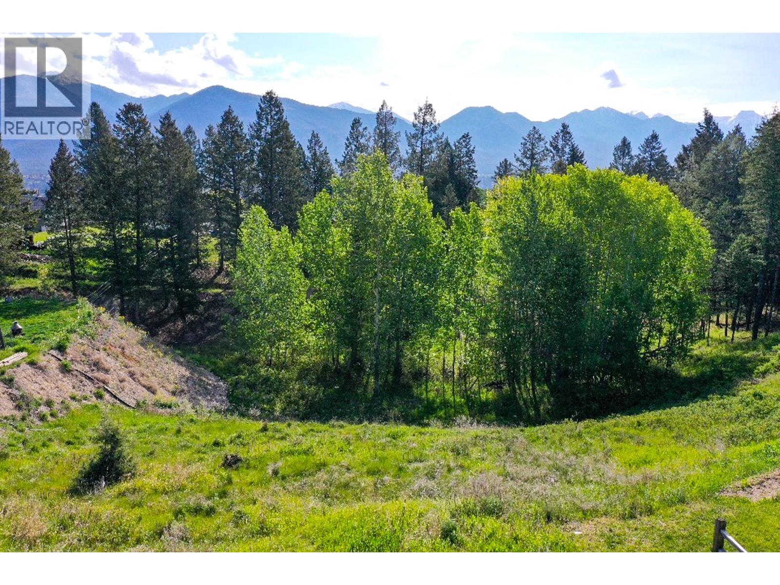 2161 Pinetree Place, Invermere, British Columbia  V0A 1K4 - Photo 11 - 10378481