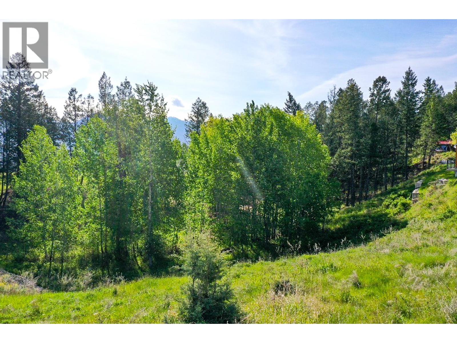 2161 Pinetree Place, Invermere, British Columbia  V0A 1K4 - Photo 6 - 10378481