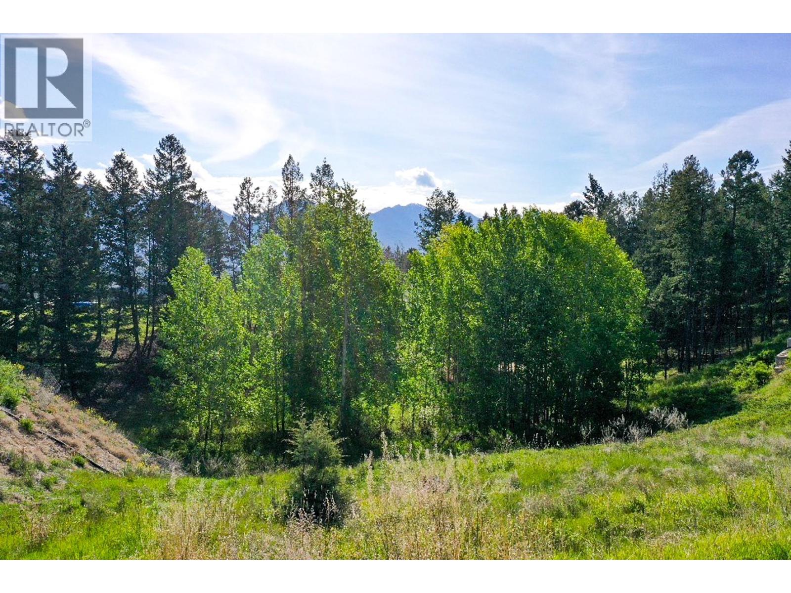 2161 Pinetree Place, Invermere, British Columbia  V0A 1K4 - Photo 9 - 10378481