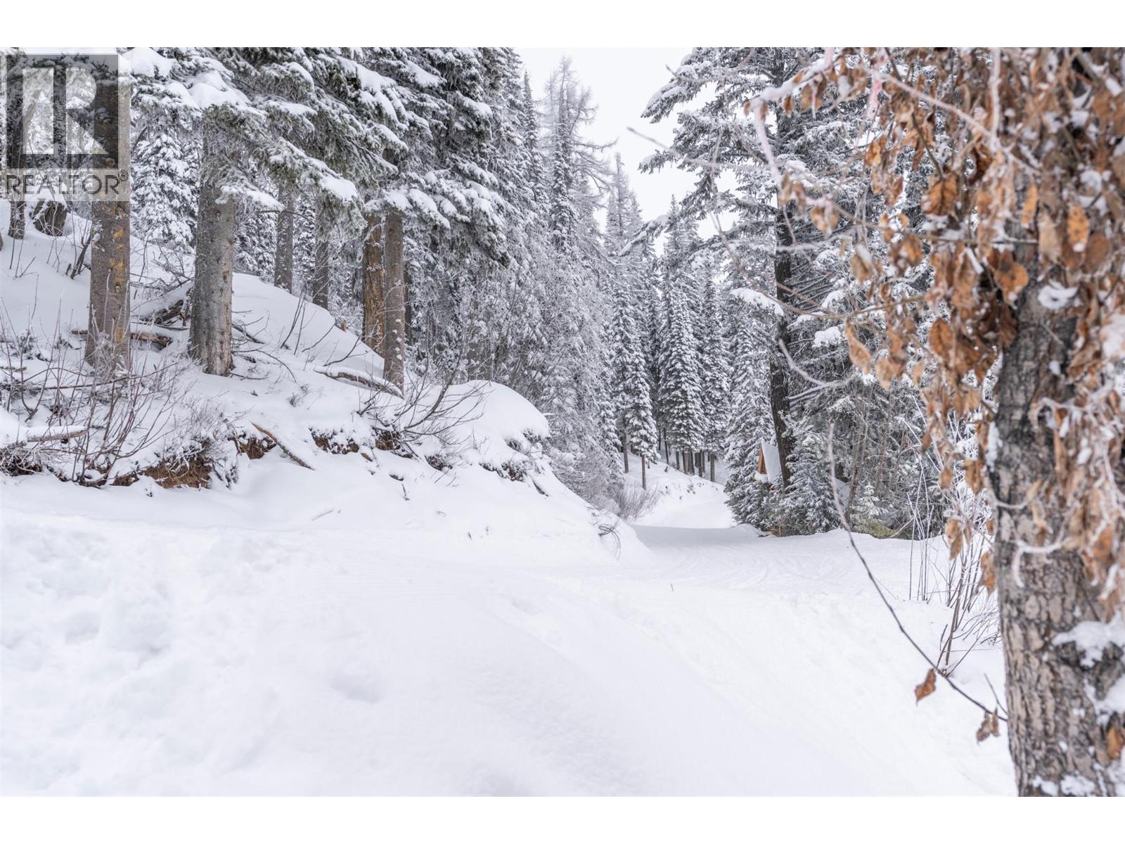 9807a Silver Star Road, Vernon, British Columbia  V8S 2H9 - Photo 44 - 10378475