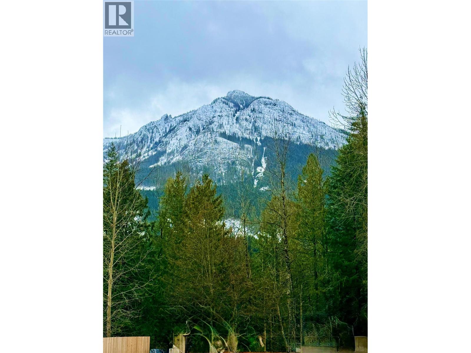 4955 Camp Creek Road Lot# 10, Revelstoke, British Columbia  V0E 2J0 - Photo 6 - 10378517