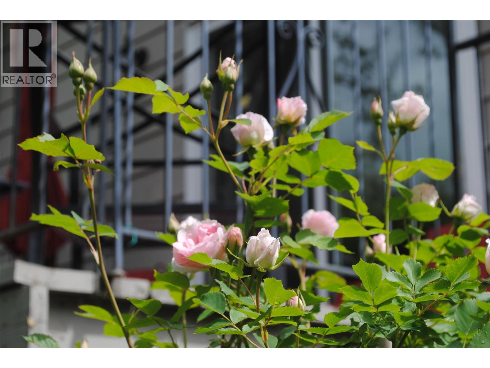 3 Dogwood Place, Osoyoos, British Columbia  V0H 1V1 - Photo 37 - 10378285