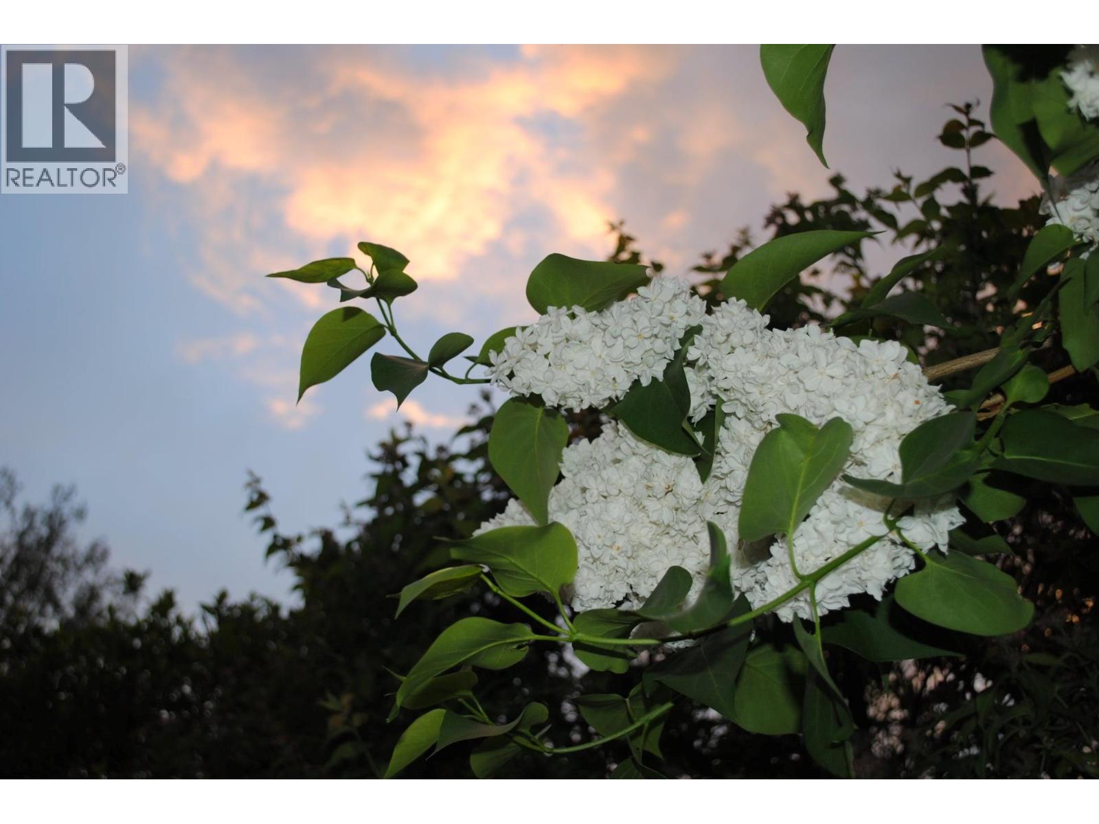 3 Dogwood Place, Osoyoos, British Columbia  V0H 1V1 - Photo 39 - 10378285