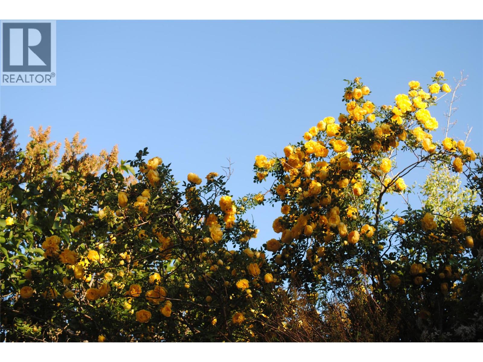 3 Dogwood Place, Osoyoos, British Columbia  V0H 1V1 - Photo 40 - 10378285