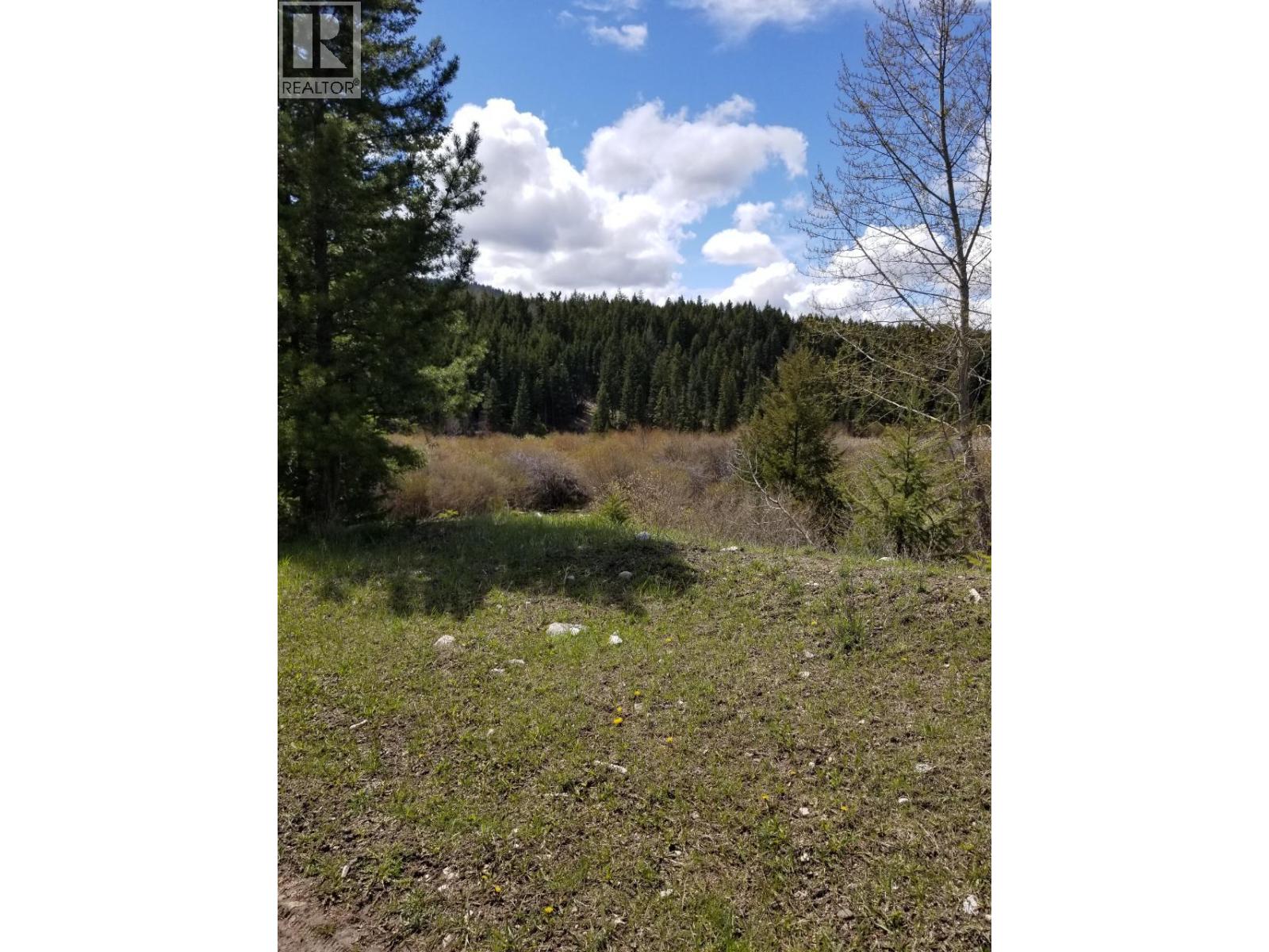 Legal Scuitto Lake, Kamloops, British Columbia  V2H 1T7 - Photo 19 - 10378669