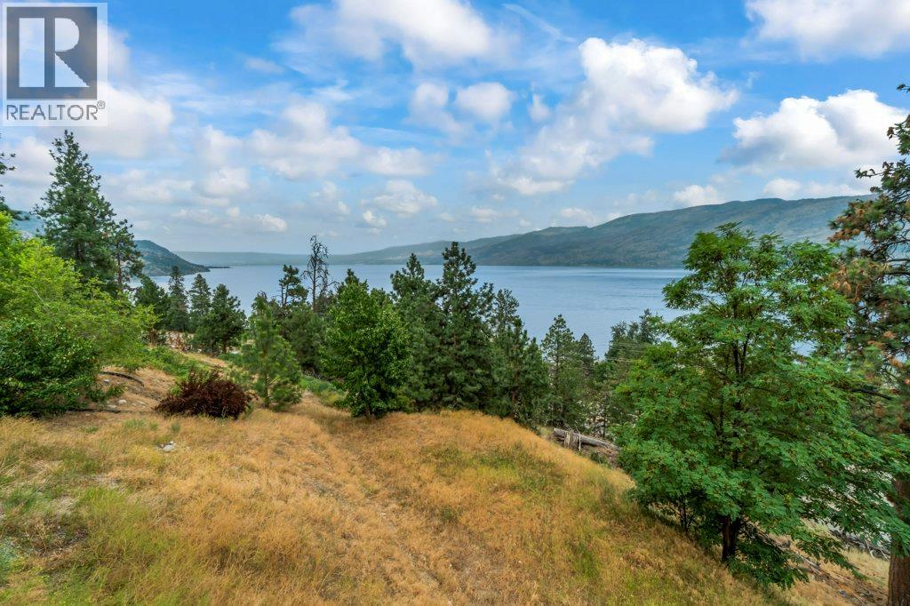 3949 Desert Pines Avenue, Peachland, British Columbia  V0H 1X2 - Photo 55 - 10370427