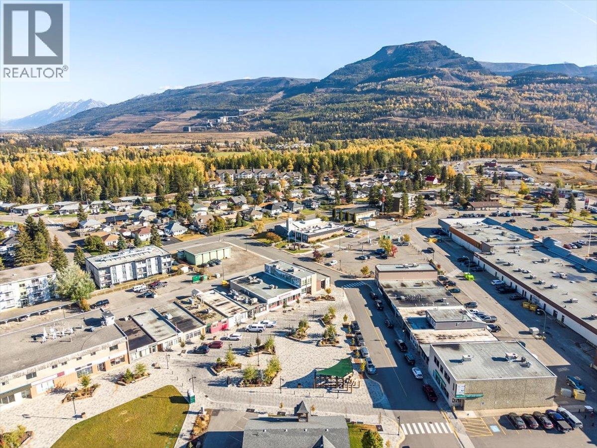 116 Centennial Street, Sparwood, British Columbia  V0B 2G0 - Photo 46 - 10378807