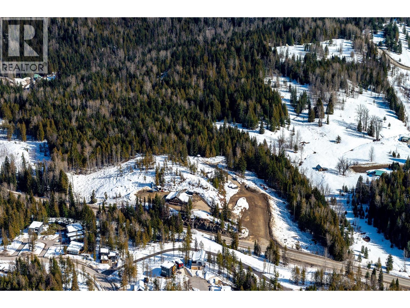 3052 Nancy Greene Highway, Rossland, British Columbia  V0G 1Y0 - Photo 12 - 10378046