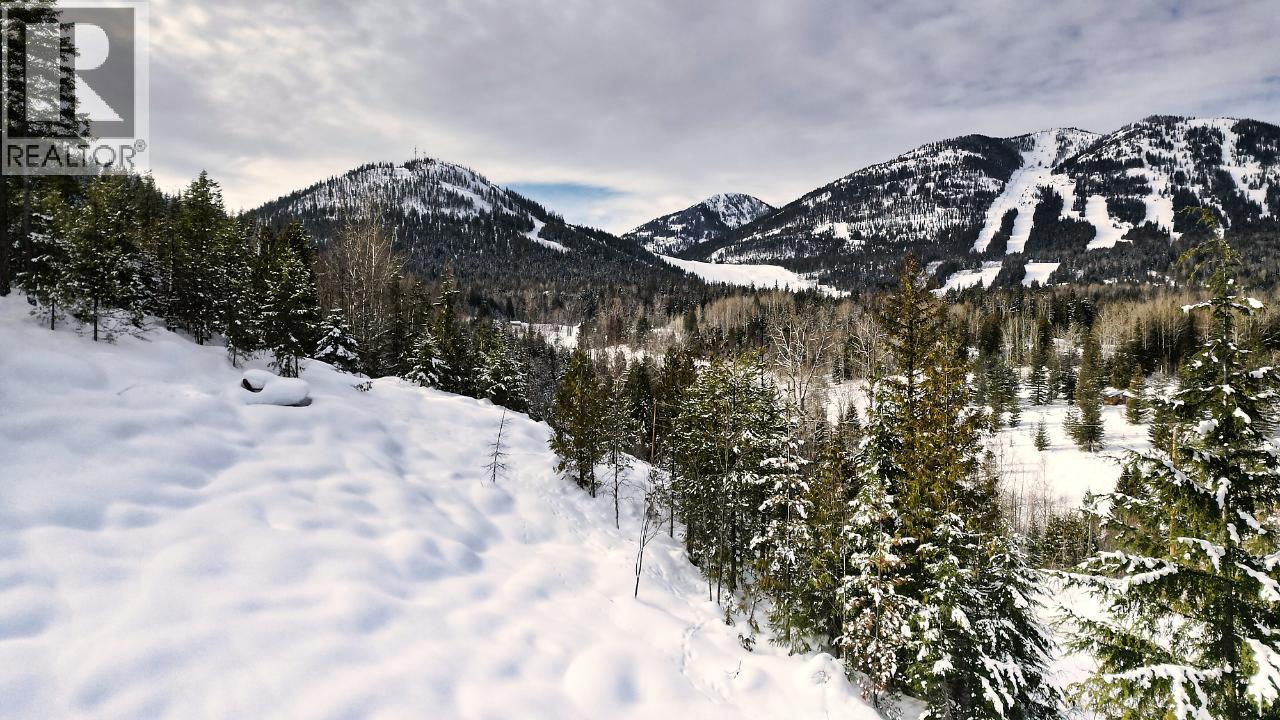 305 Richie Road, Rossland, British Columbia  V0G 1Y0 - Photo 14 - 10378316