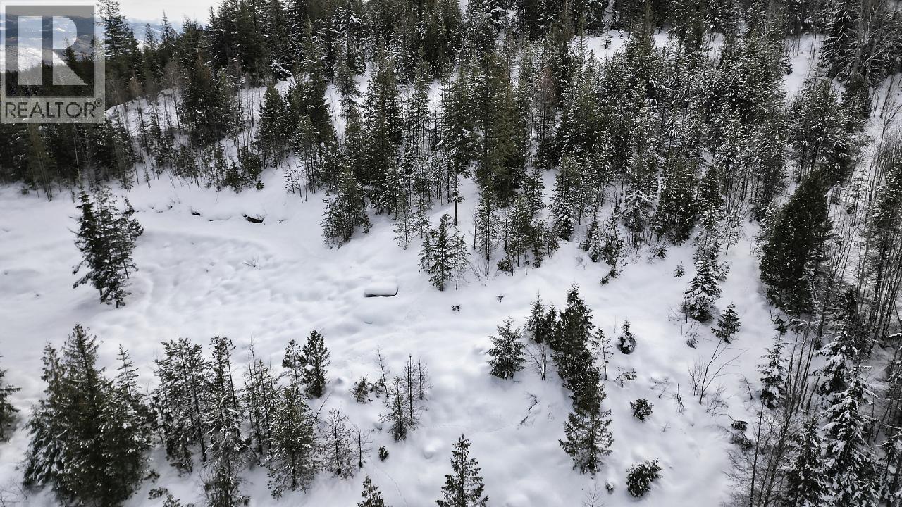 305 Richie Road, Rossland, British Columbia  V0G 1Y0 - Photo 15 - 10378316