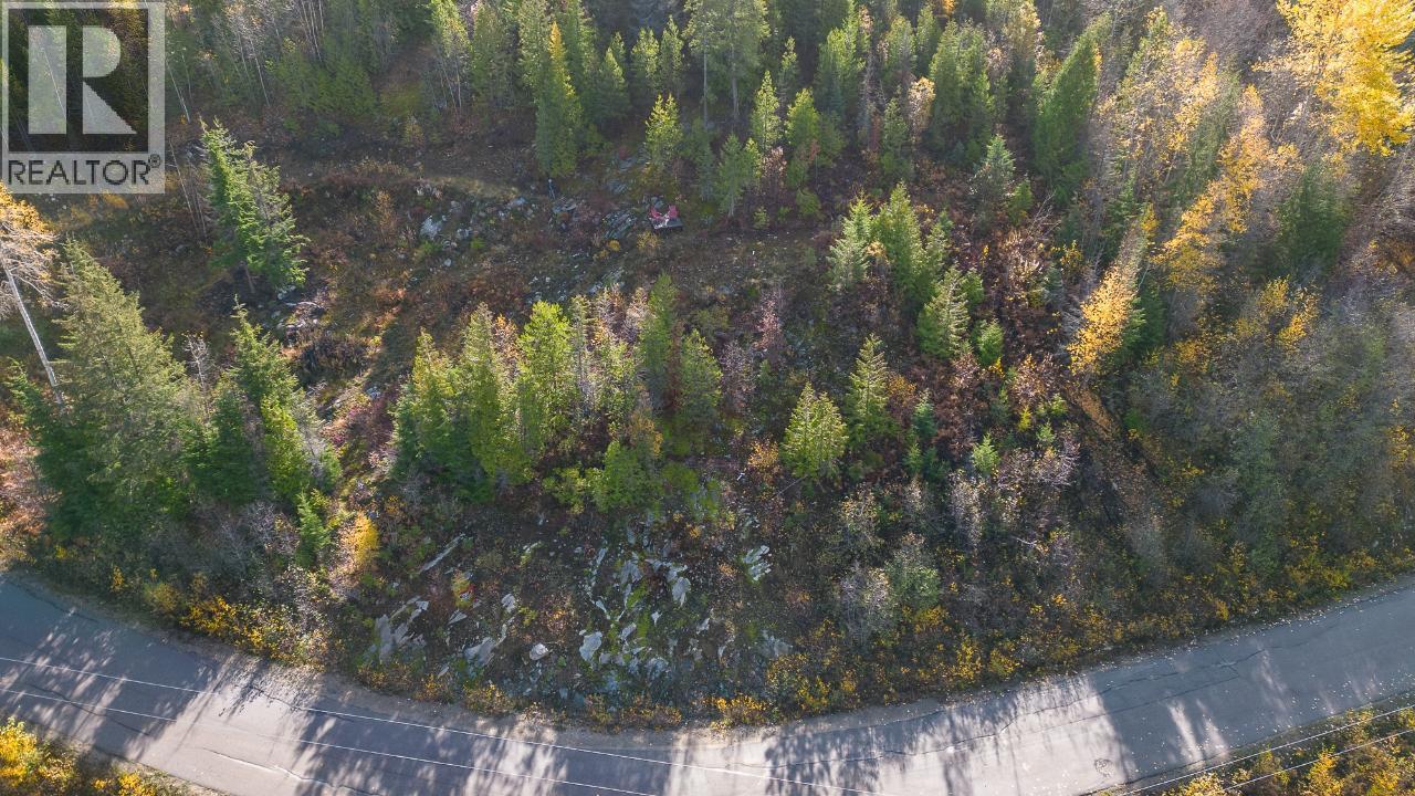 305 Richie Road, Rossland, British Columbia  V0G 1Y0 - Photo 29 - 10378316