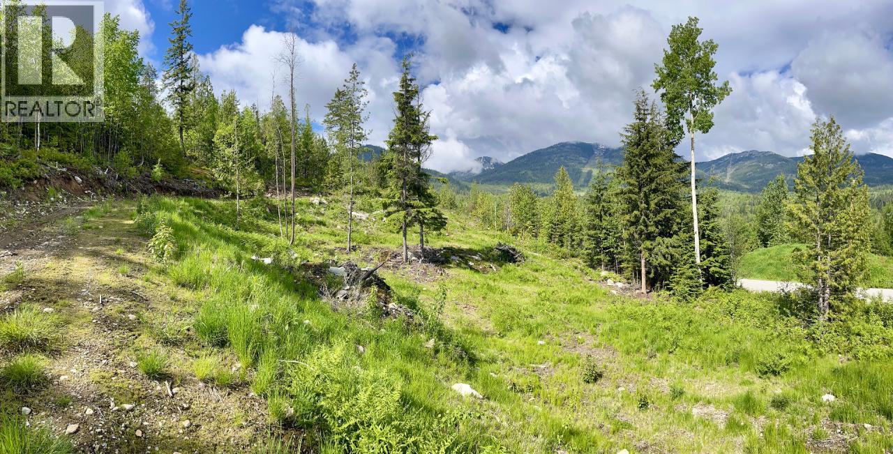 305 Richie Road, Rossland, British Columbia  V0G 1Y0 - Photo 32 - 10378316