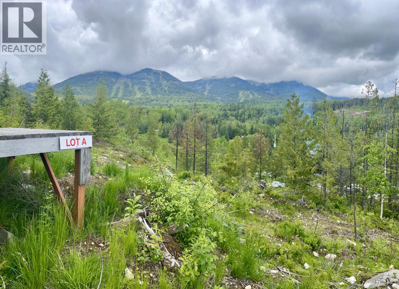 305 Richie Road, Rossland, British Columbia  V0G 1Y0 - Photo 36 - 10378316