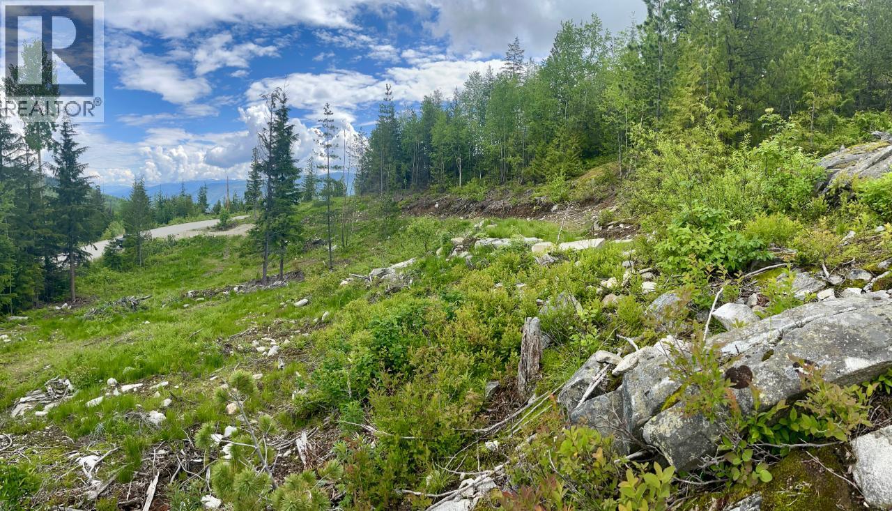 305 Richie Road, Rossland, British Columbia  V0G 1Y0 - Photo 40 - 10378316