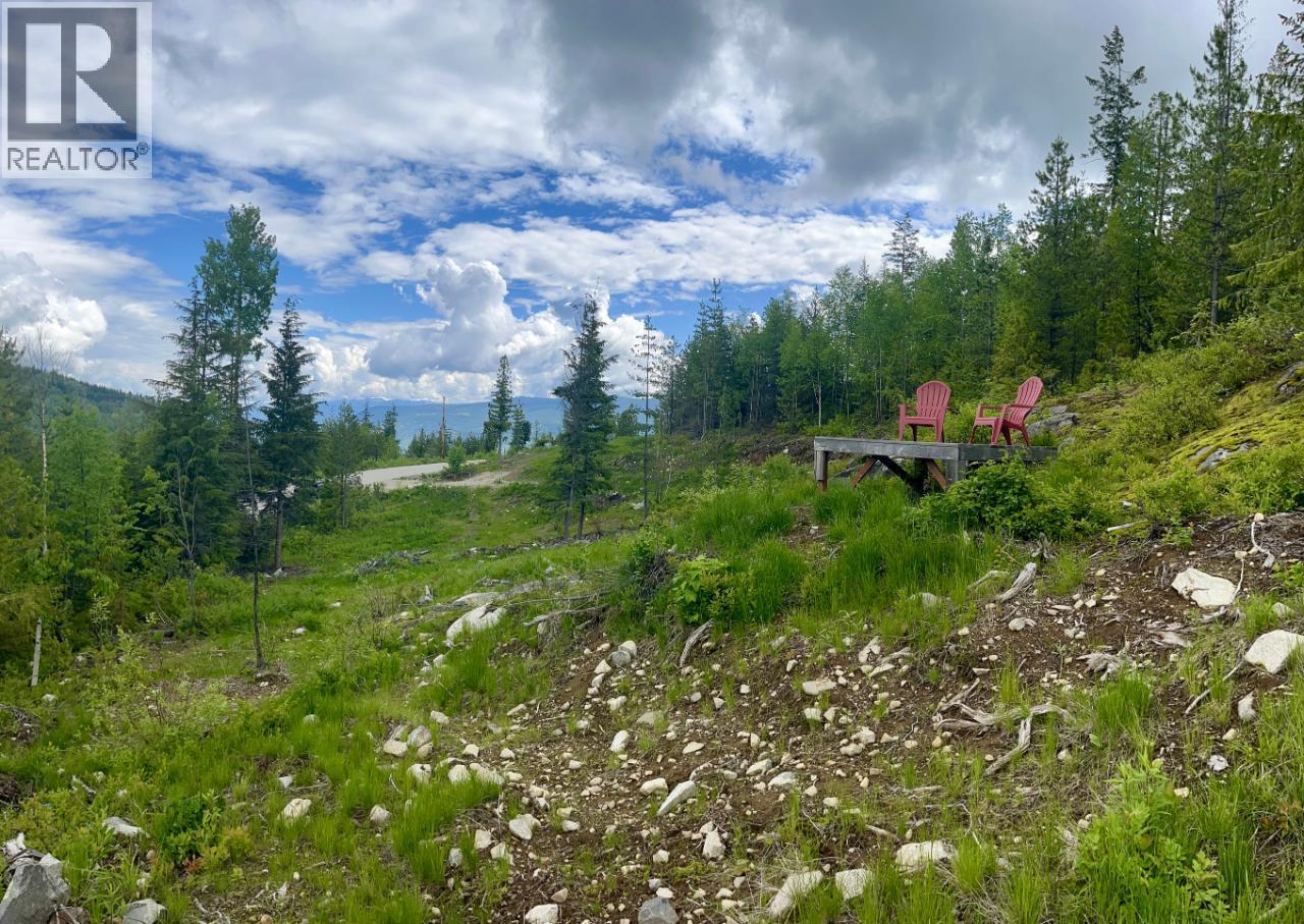 305 Richie Road, Rossland, British Columbia  V0G 1Y0 - Photo 41 - 10378316