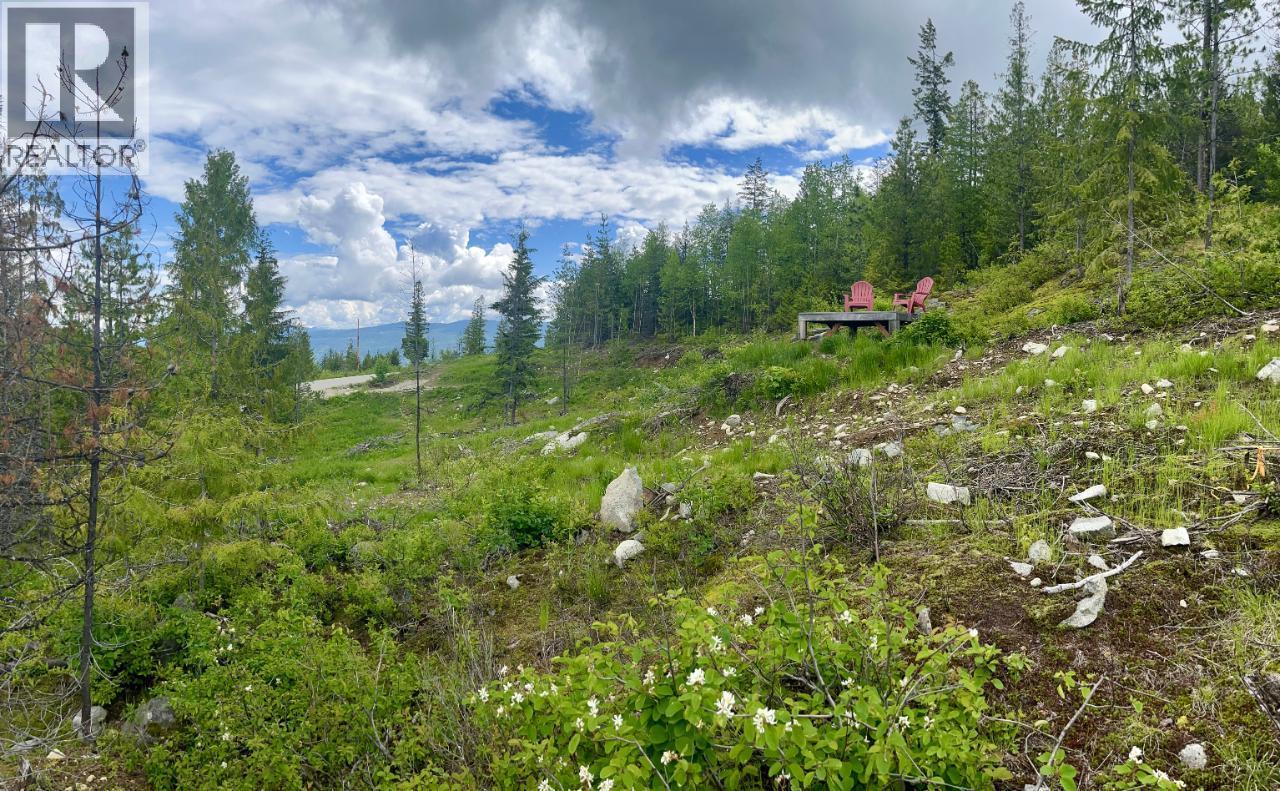 305 Richie Road, Rossland, British Columbia  V0G 1Y0 - Photo 43 - 10378316