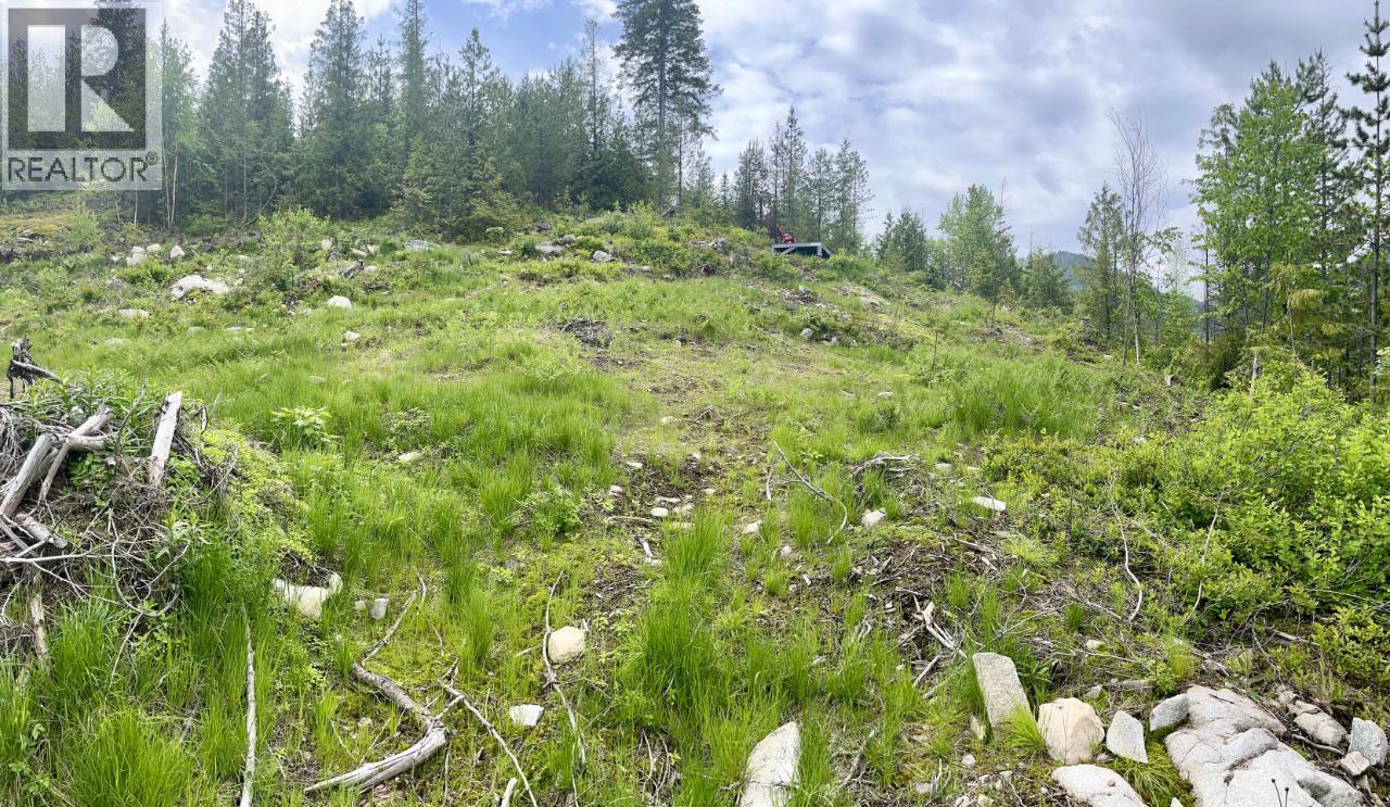 305 Richie Road, Rossland, British Columbia  V0G 1Y0 - Photo 45 - 10378316