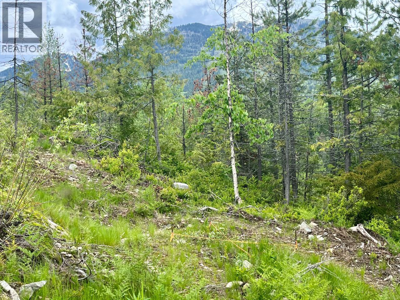 305 Richie Road, Rossland, British Columbia  V0G 1Y0 - Photo 47 - 10378316