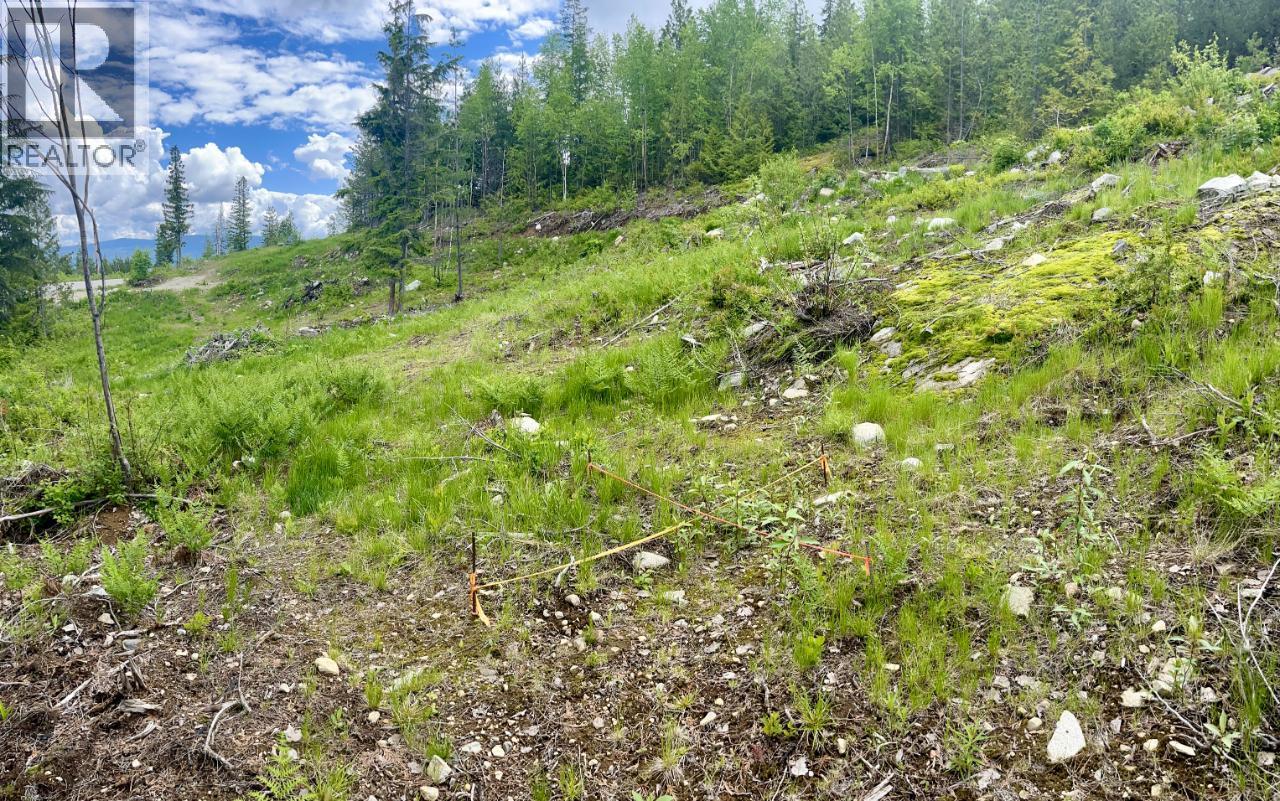 305 Richie Road, Rossland, British Columbia  V0G 1Y0 - Photo 48 - 10378316