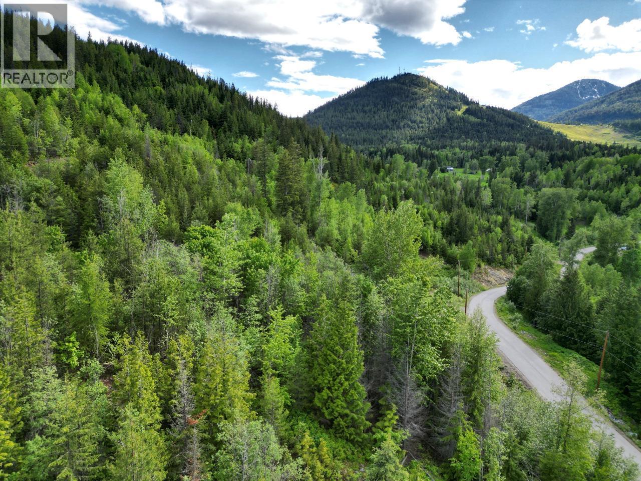 305 Richie Road, Rossland, British Columbia  V0G 1Y0 - Photo 56 - 10378316